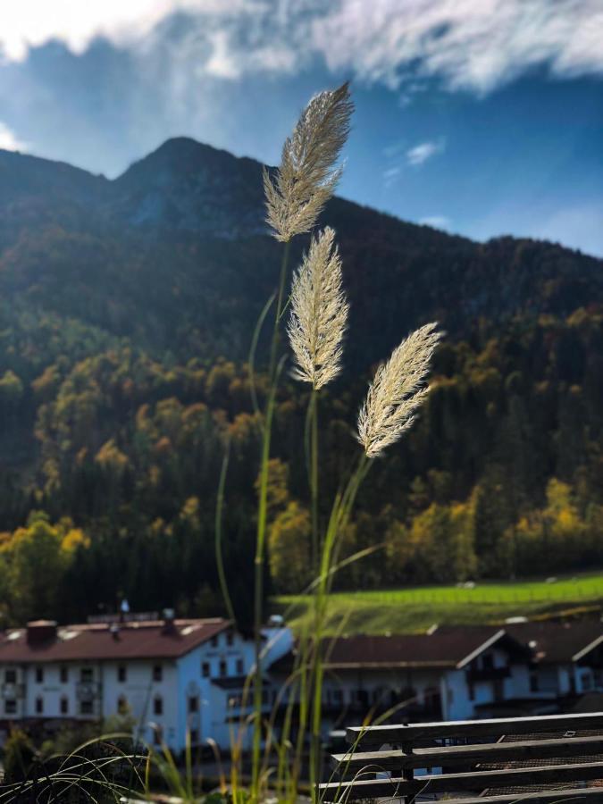Kienberghof Lägenhet Inzell Exteriör bild