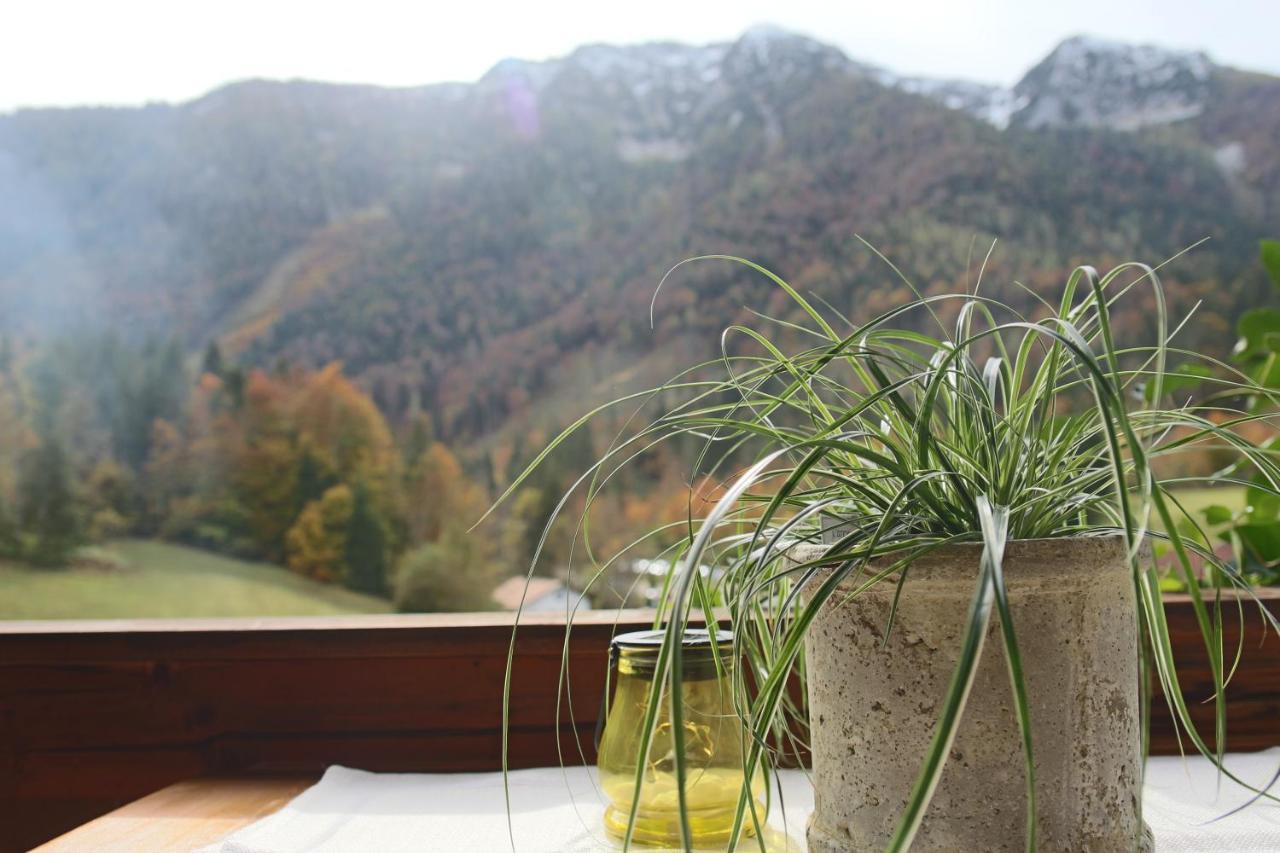 Kienberghof Lägenhet Inzell Exteriör bild